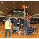 개포초등학교 이미지