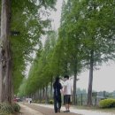 임천시장 공영 주차장 | 충남 예산 가볼만한곳 포토스팟 예산시장 먹거리 여행 추천 코스