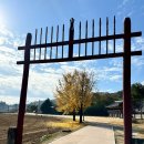 돈암서원 책판 | 돈암서원/논산 돈암서원/논산 명소/유네스코 세계문화유산/교통/입장료