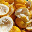 남해는, 지금 이미지