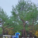 쉼송지호 이미지