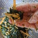 바다내음 이미지