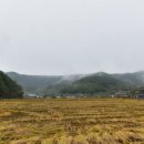 의령 오운마을 옛 담장 이미지