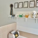 하비나 코지 이미지