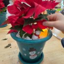 봉무초교 병설유치원 이미지