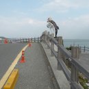 울산 해양박물관 이미지