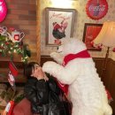 (주)에스와이에스리테일 은평점 | 슬슬 맛 즐겨보는 크리스마스 성수 데이트(브레디포스트 / GS25 팝업스토어 / 압구정수산시장)