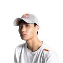 레드불 모터스 이미지