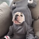 개편한 세상 이미지