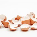 새마을로1L-1 네이버블로그