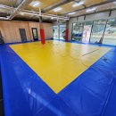 용인대체육관 이미지