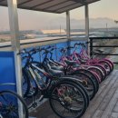 청양동강리오토캠핑장 이미지