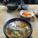 강원도 삼척 솔비치 3탄