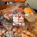 딱 | 일산 애니골 양고기 맛집 [양스 일산본점] 데이트로 딱! 내돈내산 후기
