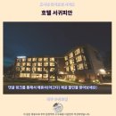 호텔 서귀피안 | 제주 서귀피안 호텔 후기 인생 숙소 추천