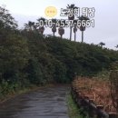 특실노래주점