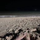 일등건어물 이미지