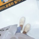 펭귄세탁 이미지