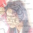 "왕의 남자" 장생과 공길의 뇌구조..... 이미지