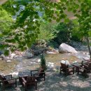 리틀포레 이미지