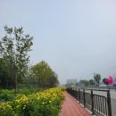 추정3리 이미지