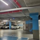 G car 첫 렌트 후기, 렌트 팁, G car 신규 가입 시 추천인 아이디