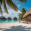 선명카센타 이미지