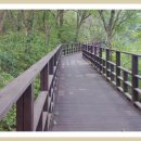 도음산 산림문화수련장 이미지