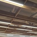 성암국제무역고등학교 | [성암 국제무역 고등학교 성교육]올해 처음으로 공학이 된 학교의 고1아들 성교육 후기🤩