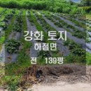 별립산농장 네이버블로그