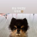묭실 - 강북구 | 묭실