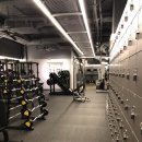 디스이즈 피트니스 이미지