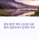 씨유제주서부중앙점 | 감성여행 끝판왕! 제주 금오름 일출부터 브런치까지 완벽한 하루 코스