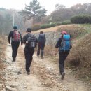 전첨 류세구묘역 네이버블로그
