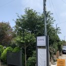 볼수록제주스테이 민박 이미지