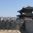 수원-1514 Daum카페