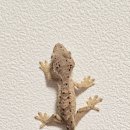 주식회사 루페 이미지