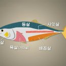 한우전자 이미지