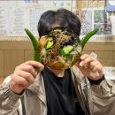 구미중앙로-16 | 구미 시내 중앙시장 가성비 현지인 맛집 진주국수 솔직후기 내돈내산 리뷰