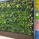 정화어린이집 이미지