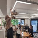 (주)늘푸른자원 이미지