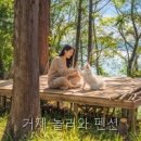 놀러와 펜션 | 거제 놀러와 펜션 직접 다녀온 솔직 후기