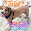 사거리 열린약국 이미지