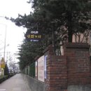 걷고싶은거리 이미지