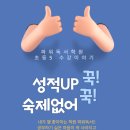 대전선암초등학교 이미지