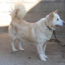 풍호농장 이미지