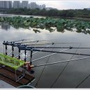 포인트낚시터 이미지