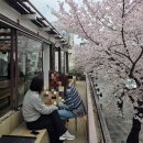 세븐일레븐 대구대신이편한점 | 대구 벚꽃 카페 아눅 앞산 포토존 이용방법 편한 주차장 브런치 메뉴 솔직 후기