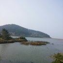 미미수산