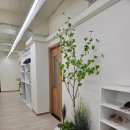 머슬 인 | 머슬케어필라테스 성균관대점 후기🍀